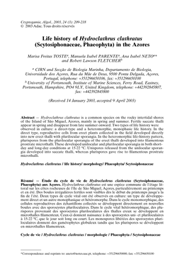 Life History of Hydroclathrus Clathratus (Scytosiphonaceae, Phaeophyta) in the Azores