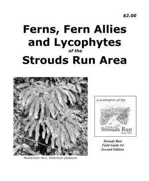 Ferns, Fern Allies and Lycophytes Strouds Run Area