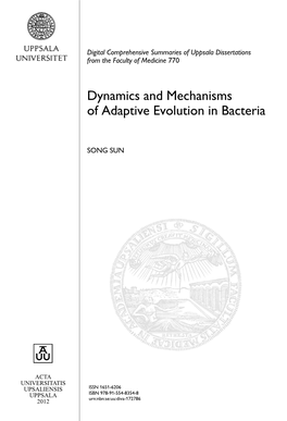 Dynamics and Mechanisms of Adaptive Evolution in Bacteria