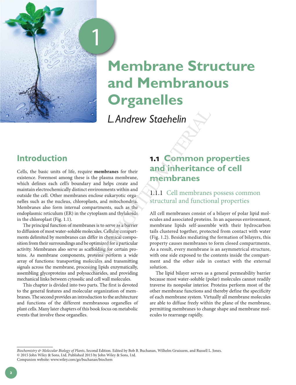 1.3 Plasma Membrane