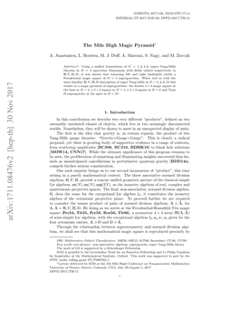 Arxiv:1711.08476V2 [Hep-Th] 30 Nov 2017 Four Octonionic Entries, a ⊗ O and O ⊗ A˜