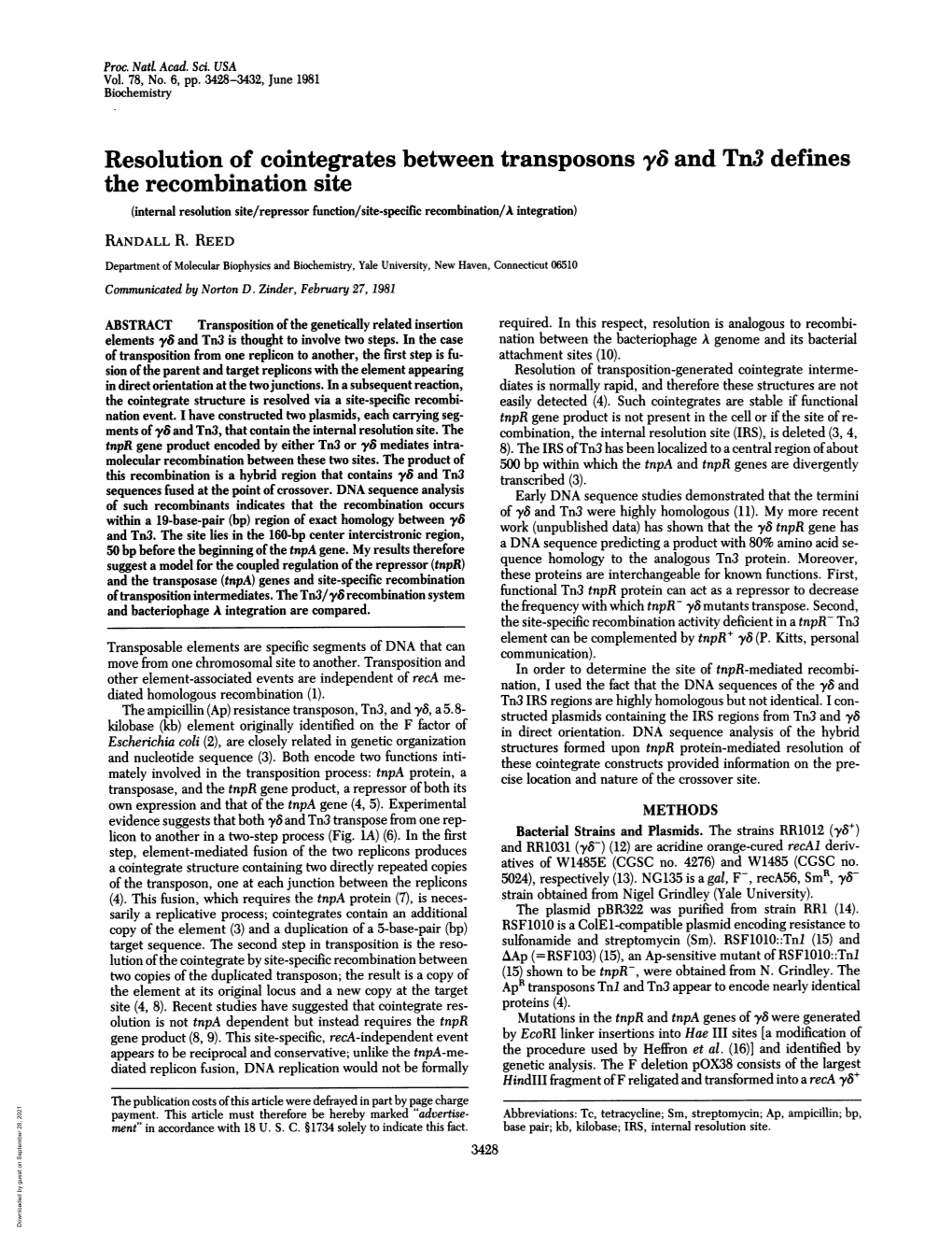 Resolution of Cointegrates Between Transposons Yv and Tn3 Defines The