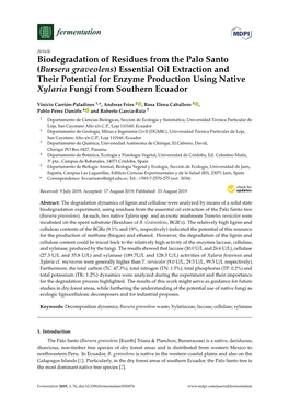 Bursera Graveolens) Essential Oil Extraction and Their Potential for Enzyme Production Using Native Xylaria Fungi from Southern Ecuador