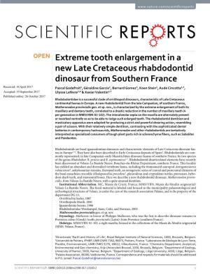 Extreme Tooth Enlargement in a New Late Cretaceous Rhabdodontid
