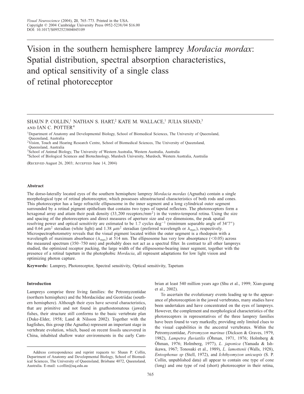 Vision in the Southern Hemisphere Lamprey Mordacia Mordax: Spatial