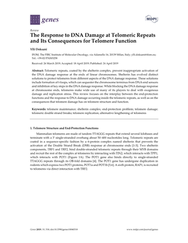 The Response to DNA Damage at Telomeric Repeats and Its Consequences for Telomere Function