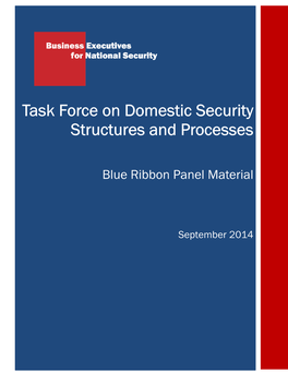 Task Force on Domestic Security Structures and Processes