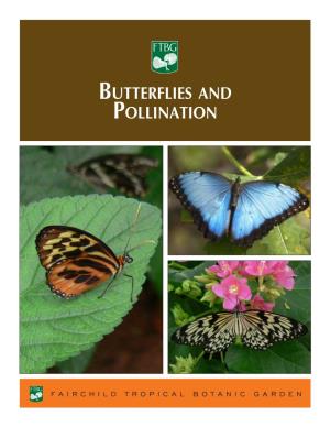 Butterflies and Pollination Welcome!