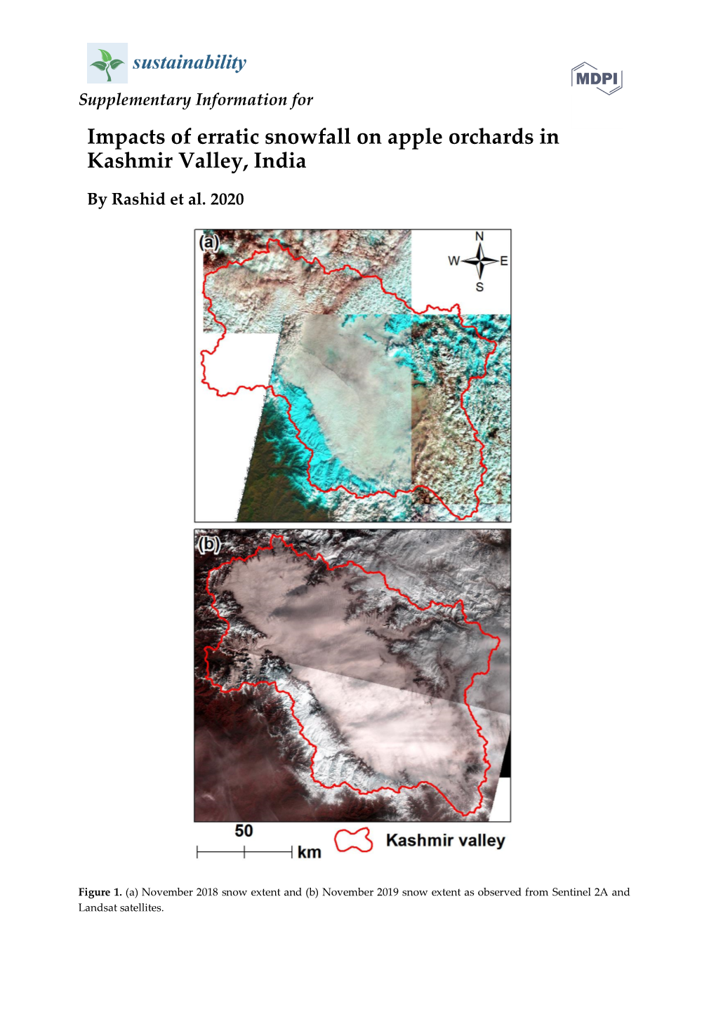 Impacts of Erratic Snowfall on Apple Orchards in Kashmir Valley, India