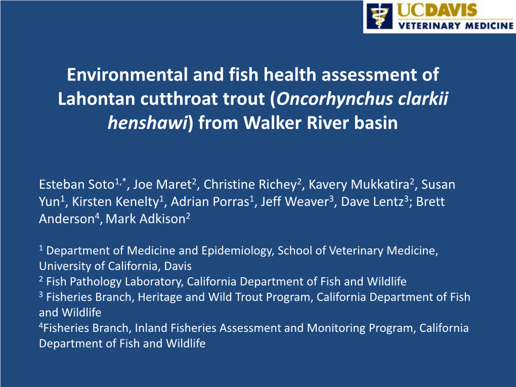 Environmental and Fish Health Assessment of Lahontan Cutthroat Trout (Oncorhynchus Clarkii Henshawi) from Walker River Basin