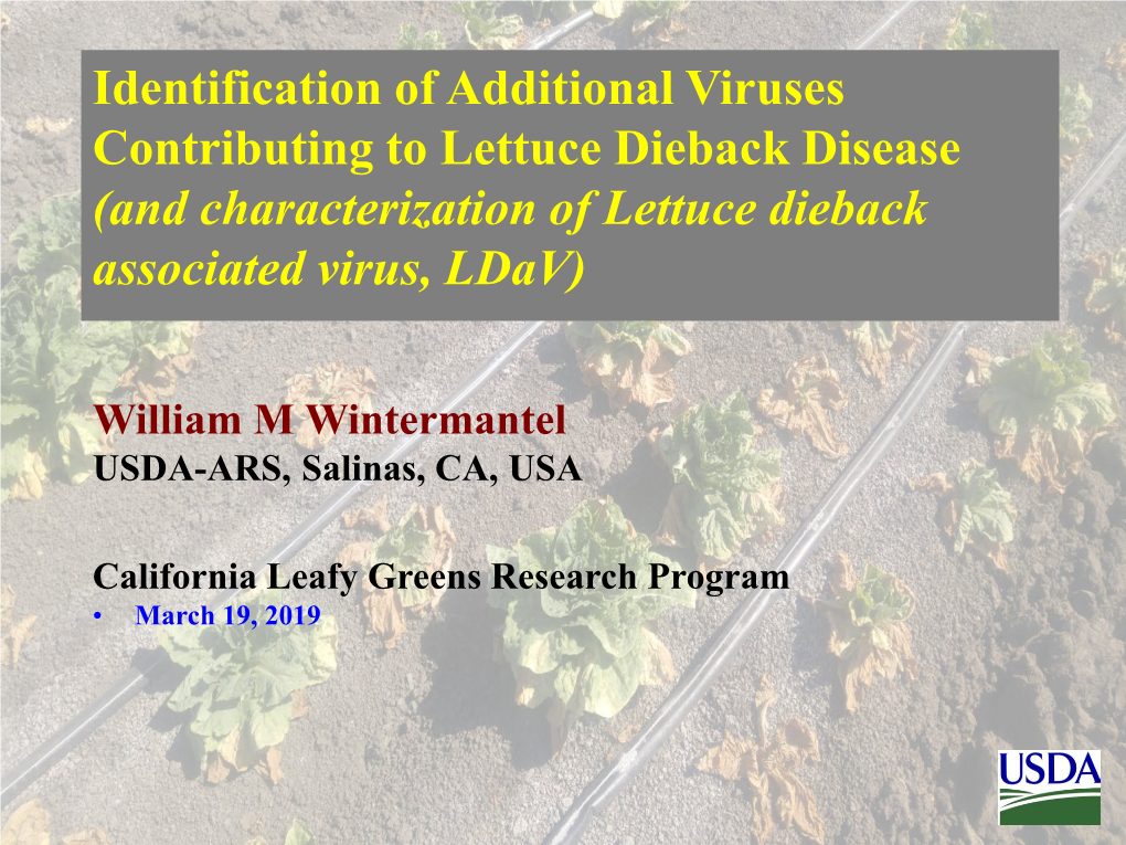 And Characterization of Lettuce Dieback Associated Virus, Ldav)