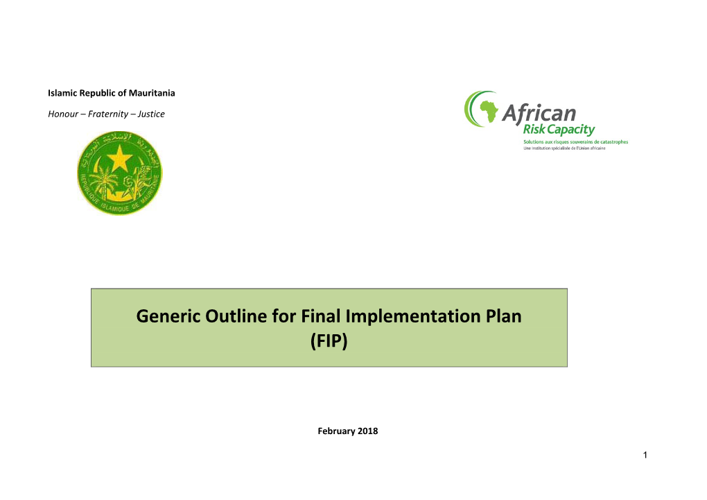 Final Implementation Plan (FIP)