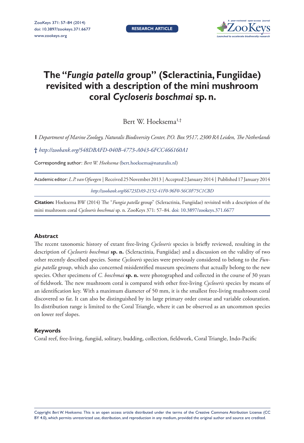 The “Fungia Patella Group” (Scleractinia, Fungiidae) Revisited with a Description of the Mini Mushroom Coral Cycloseris Boschmai Sp