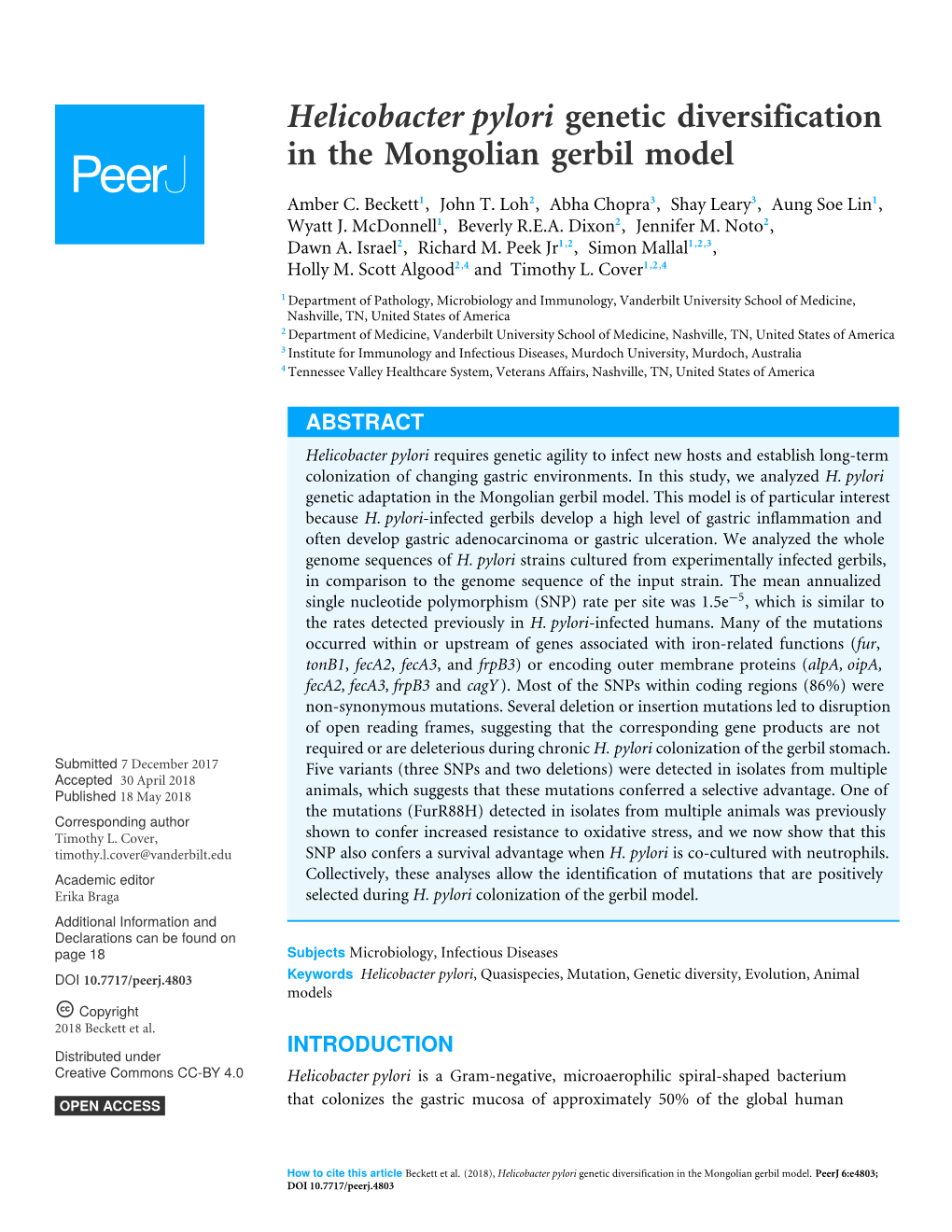 Helicobacter Pylori Genetic Diversification in the Mongolian Gerbil Model