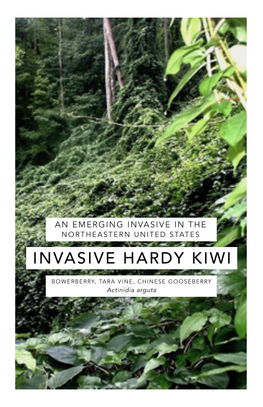 Invasive Hardy Kiwi