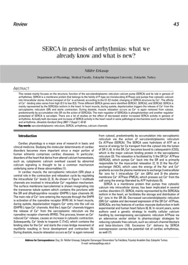 SERCA in Genesis of Arrhythmias: What We Already Know and What Is New?