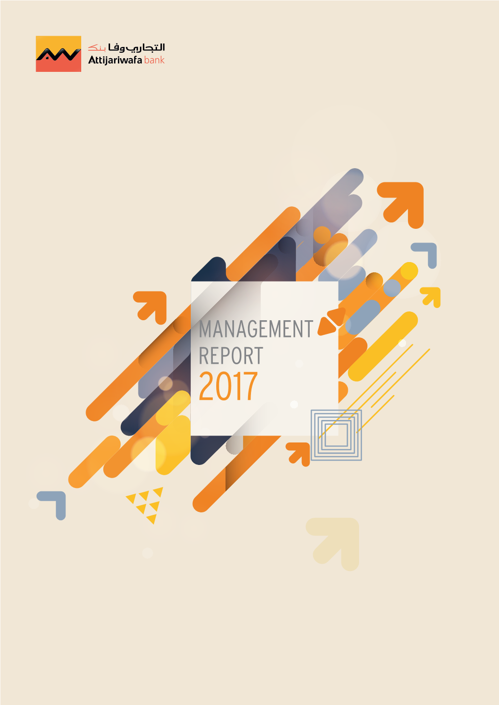 Management Report 2017