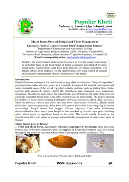 Major Insect Pests of Brinjal and Their Management