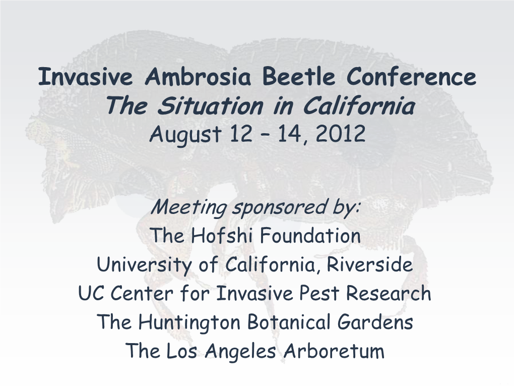 Ambrosia Beetle Systematics