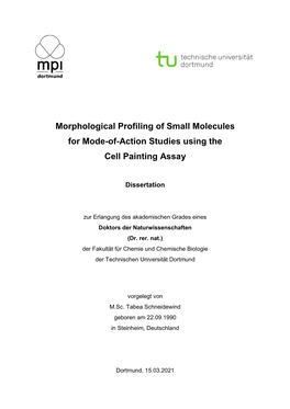 Morphological Profiling of Small Molecules for Mode-Of-Action Studies Using the Cell Painting Assay