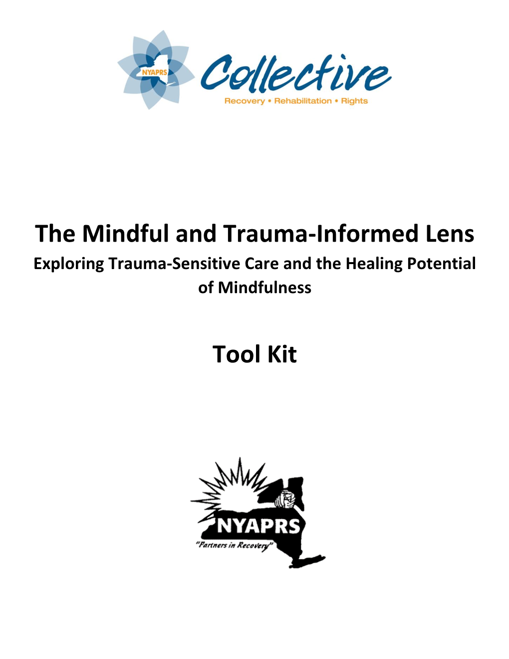 The Mindful and Trauma-Informed Lens Tool