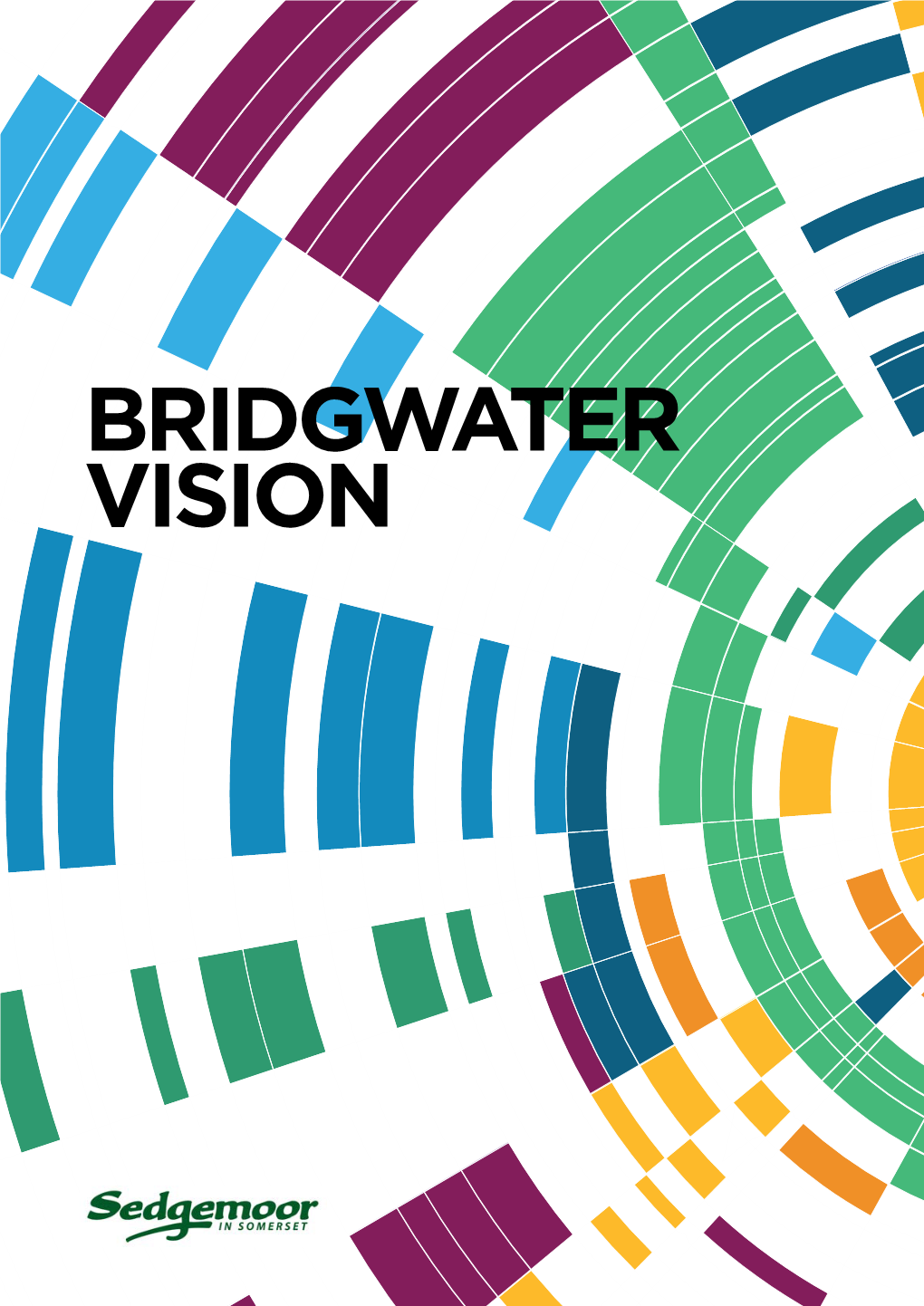 Bridgwater Vision Was Published in 2009, the Town Has Lived up to Its Proud Heritage and to Its Promise