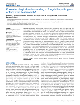 Current Ecological Understanding of Fungal-Like Pathogens of ﬁsh: What Lies Beneath?