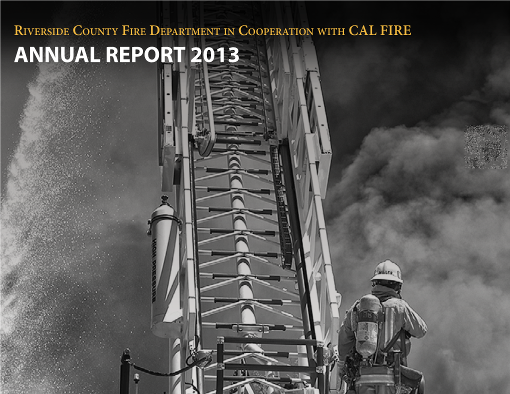 Annual Report 2013