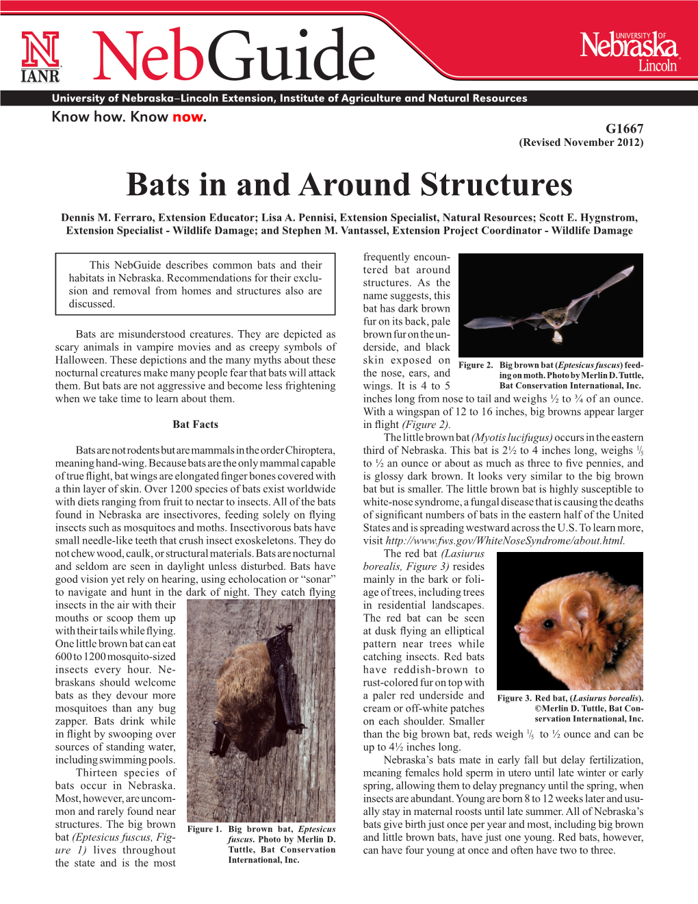 Bats in and Around Structures Dennis M