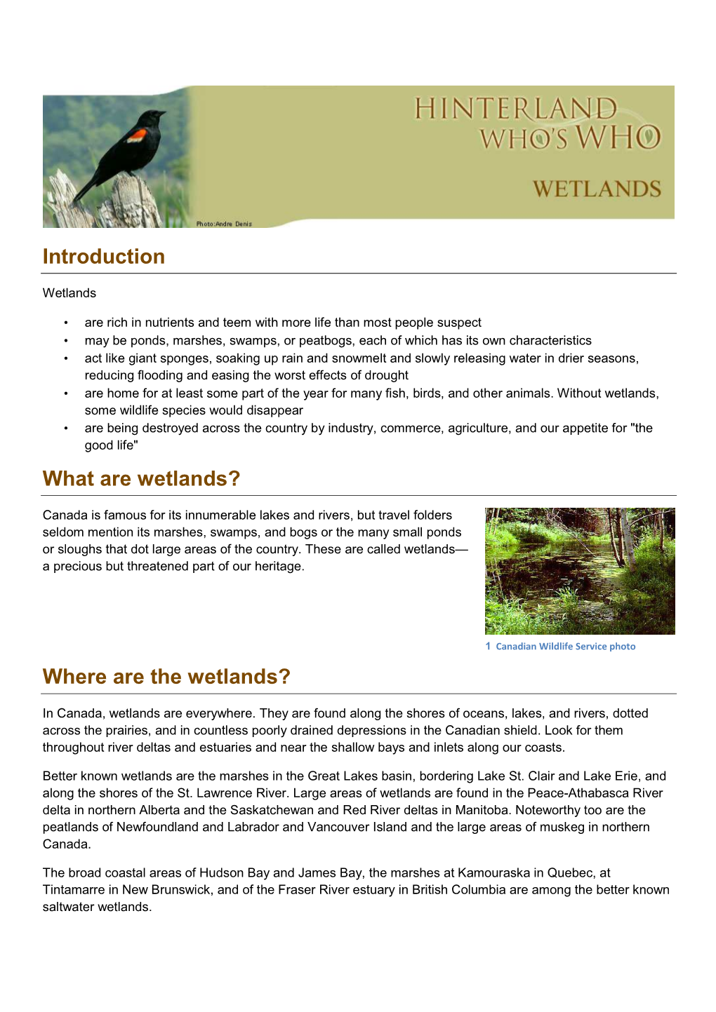 thesis topics on wetland