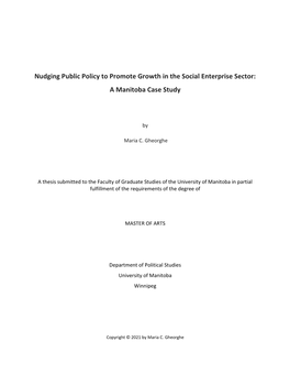 Nudging Public Policy to Promote Growth in the Social Enterprise Sector: a Manitoba Case Study
