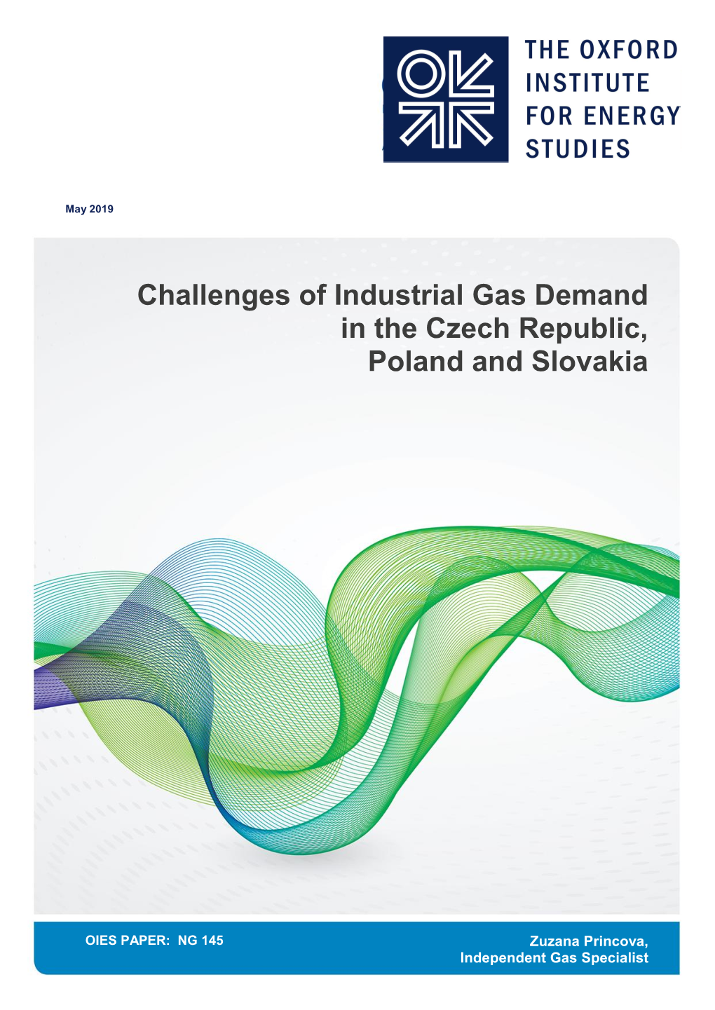 Challenges of Industrial Gas Demand in the Czech Republic, Poland and Slovakia
