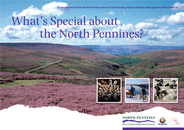 What's Special About the North Pennines?