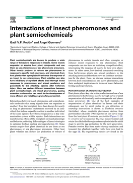 Interactions of Insect Pheromones and Plant Semiochemicals