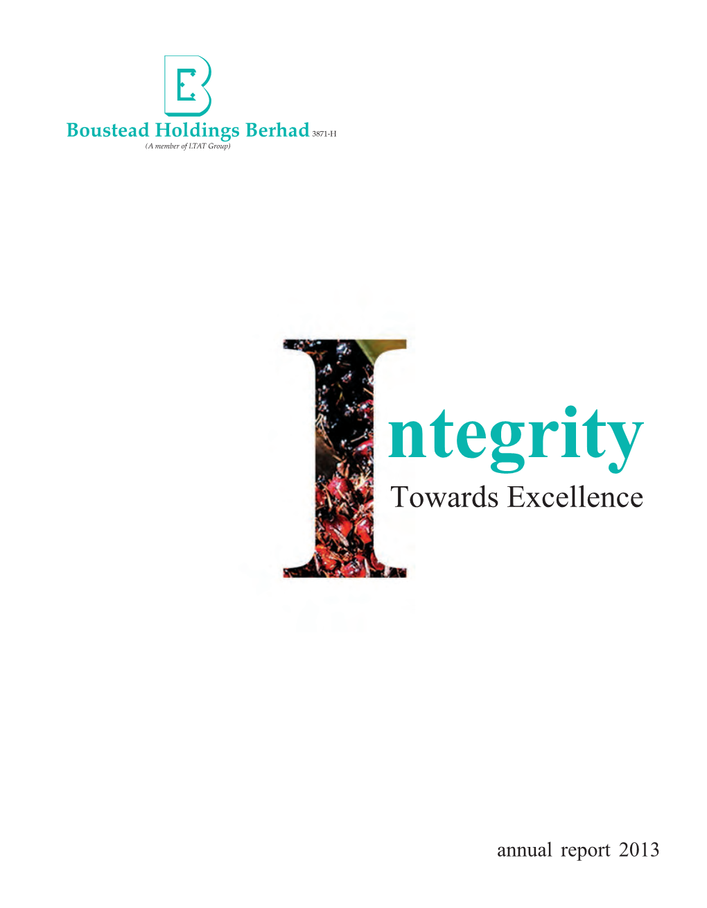 Ntegrity Towards Excellence Annual Report 2013