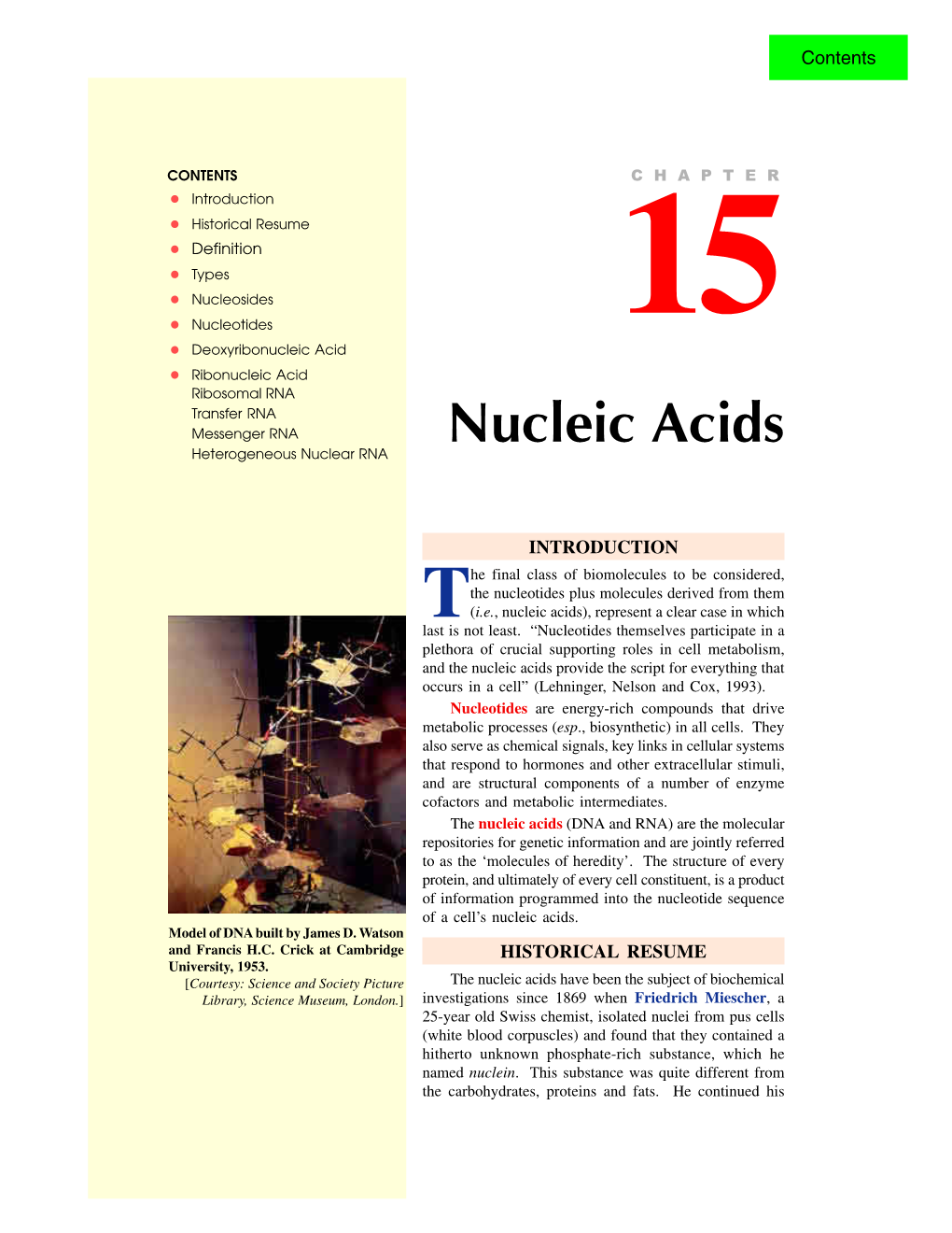 Nucleic Acids Heterogeneous Nuclear RNA