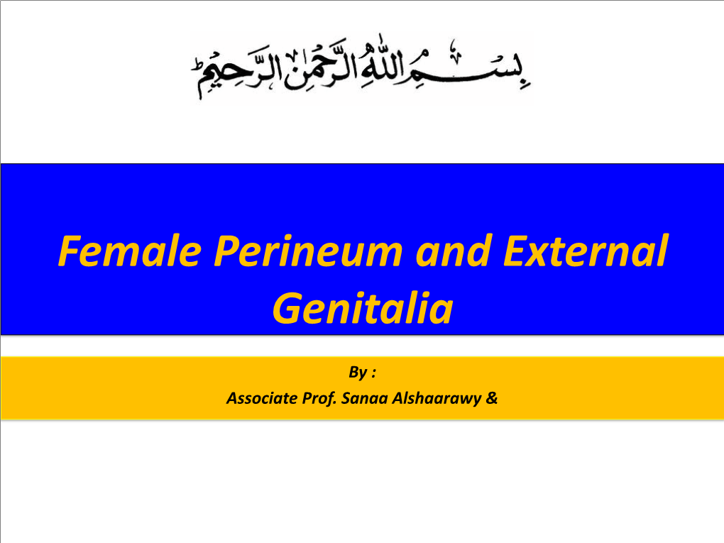 Female Perineum and External Genitalia