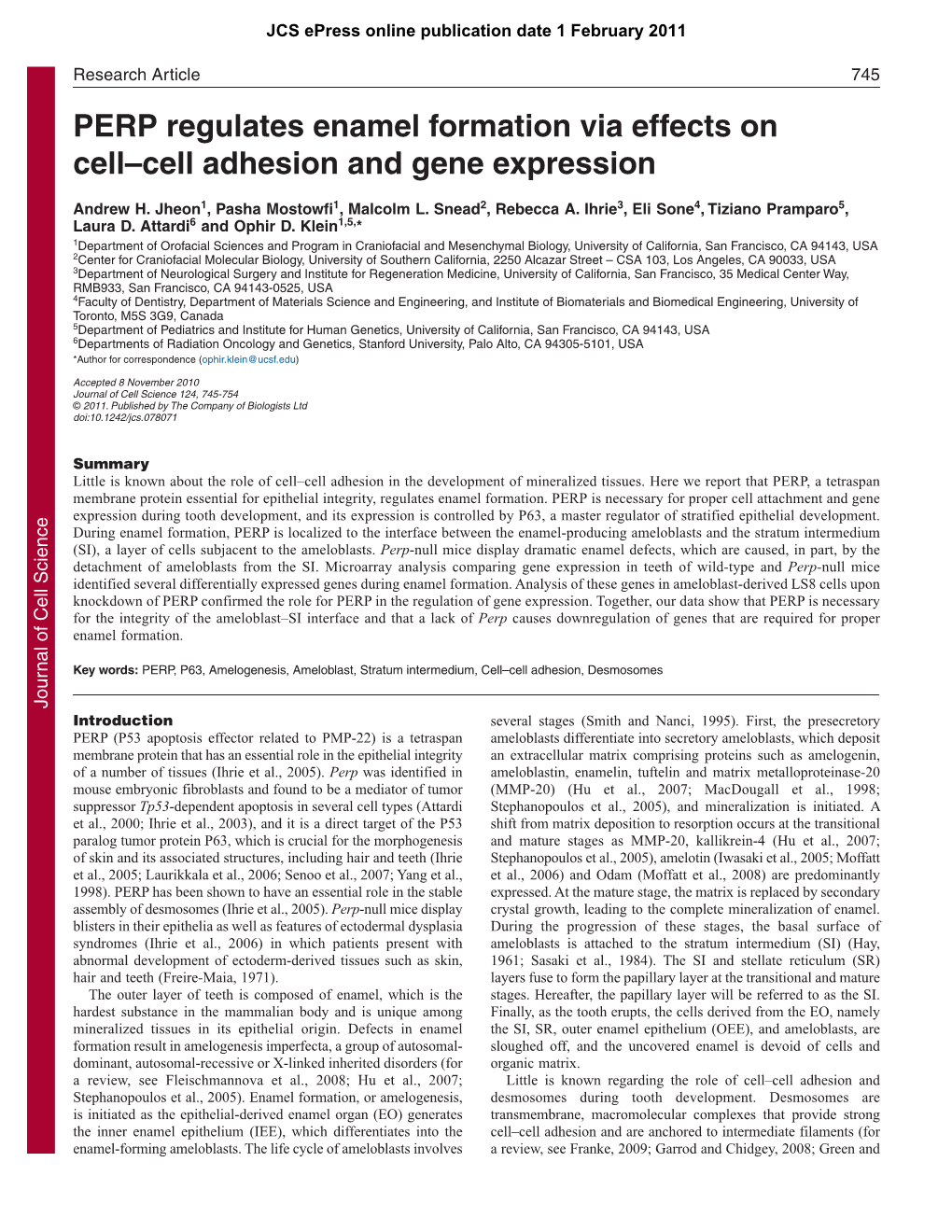 PERP Regulates Enamel Formation Via Effects on Cell–Cell Adhesion and Gene Expression