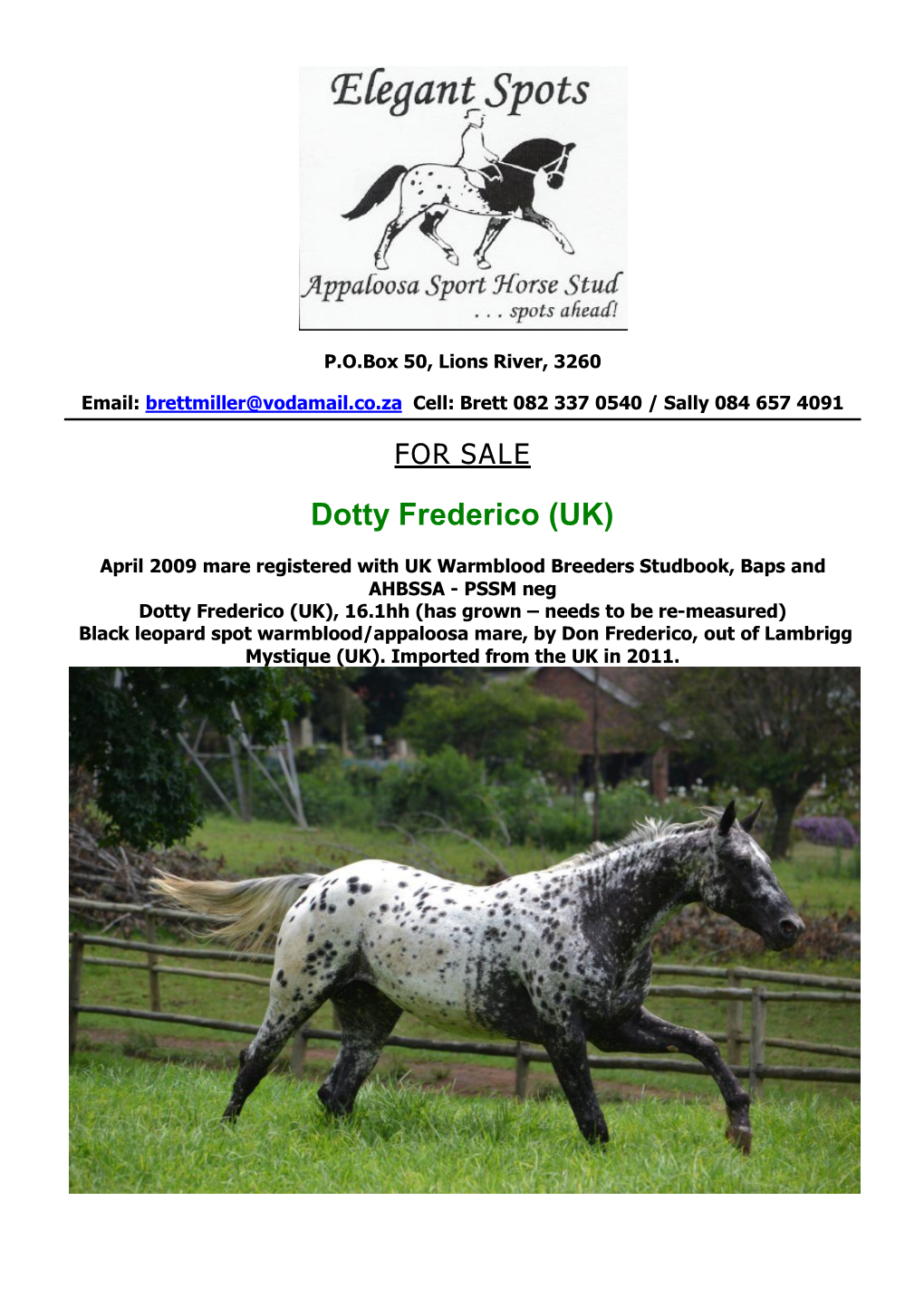 Dotty Frederico (UK)