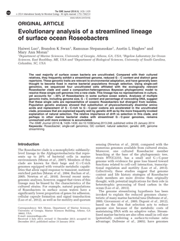 Evolutionary Analysis of a Streamlined Lineage of Surface Ocean Roseobacters