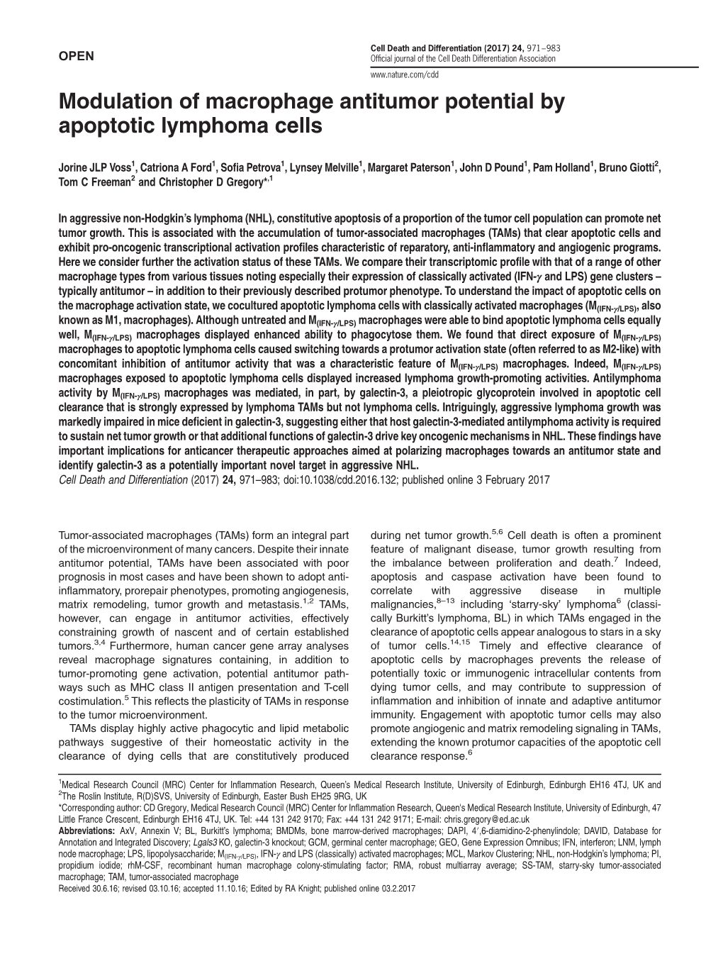 Modulation of Macrophage Antitumor Potential by Apoptotic Lymphoma Cells