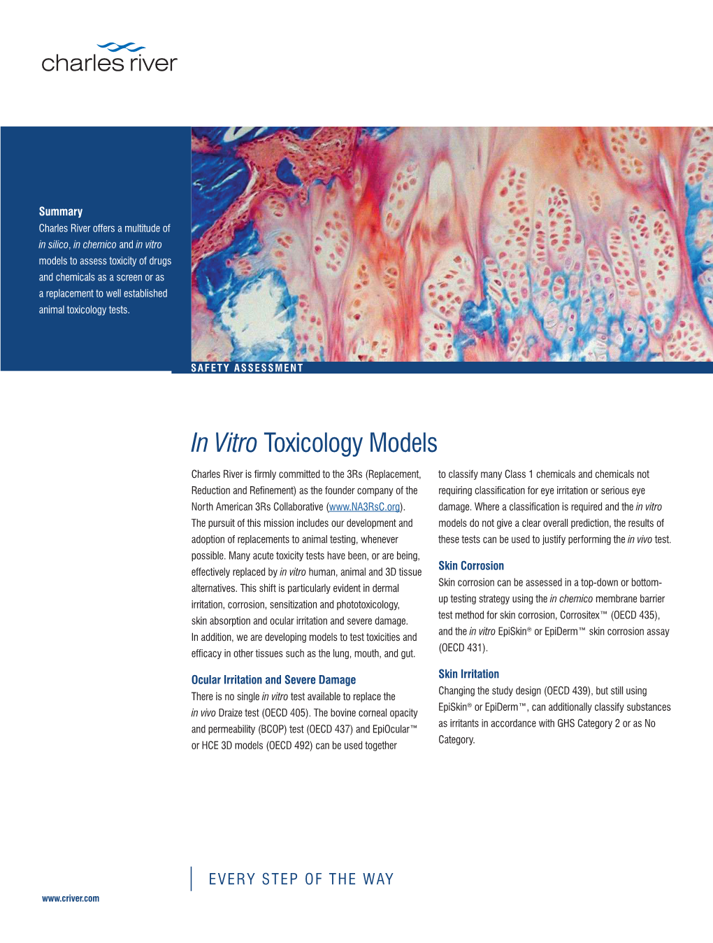 In Vitro Toxicology Models
