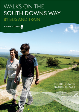 Walks on the South Downs Way by Bus and Train