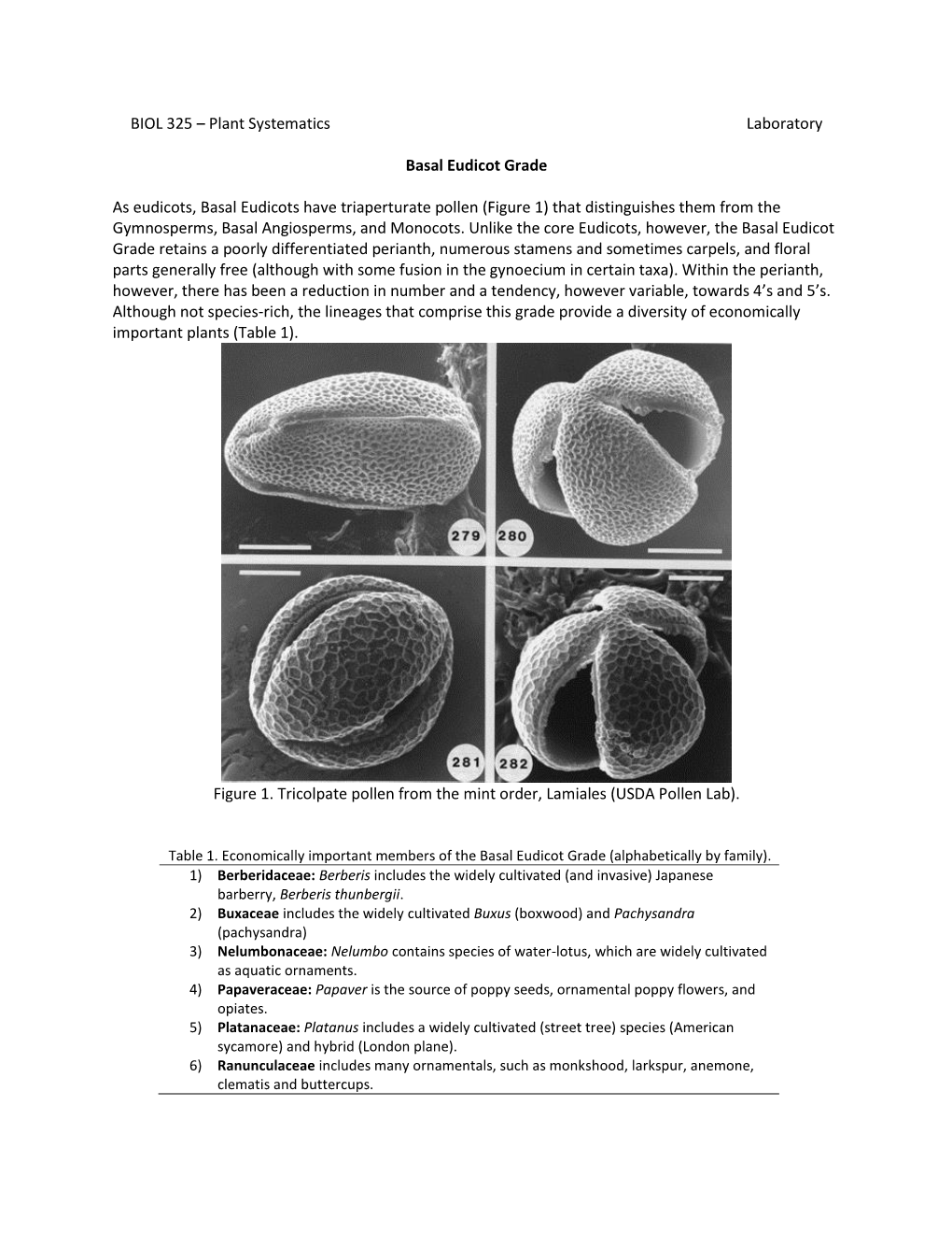 Basal Eudicots Have Triaperturate Pollen (Figure 1) That Distinguishes Them from the Gymnosperms, Basal Angiosperms, and Monocots