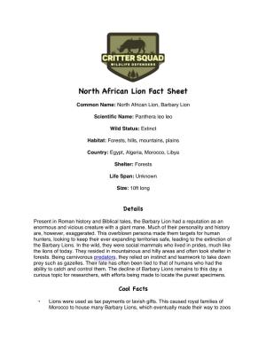 North African Lion Fact Sheet