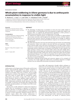 Plant Reddening in Silene Germana Is Due to Anthocyanin Accumulation in Response to Visible Light E