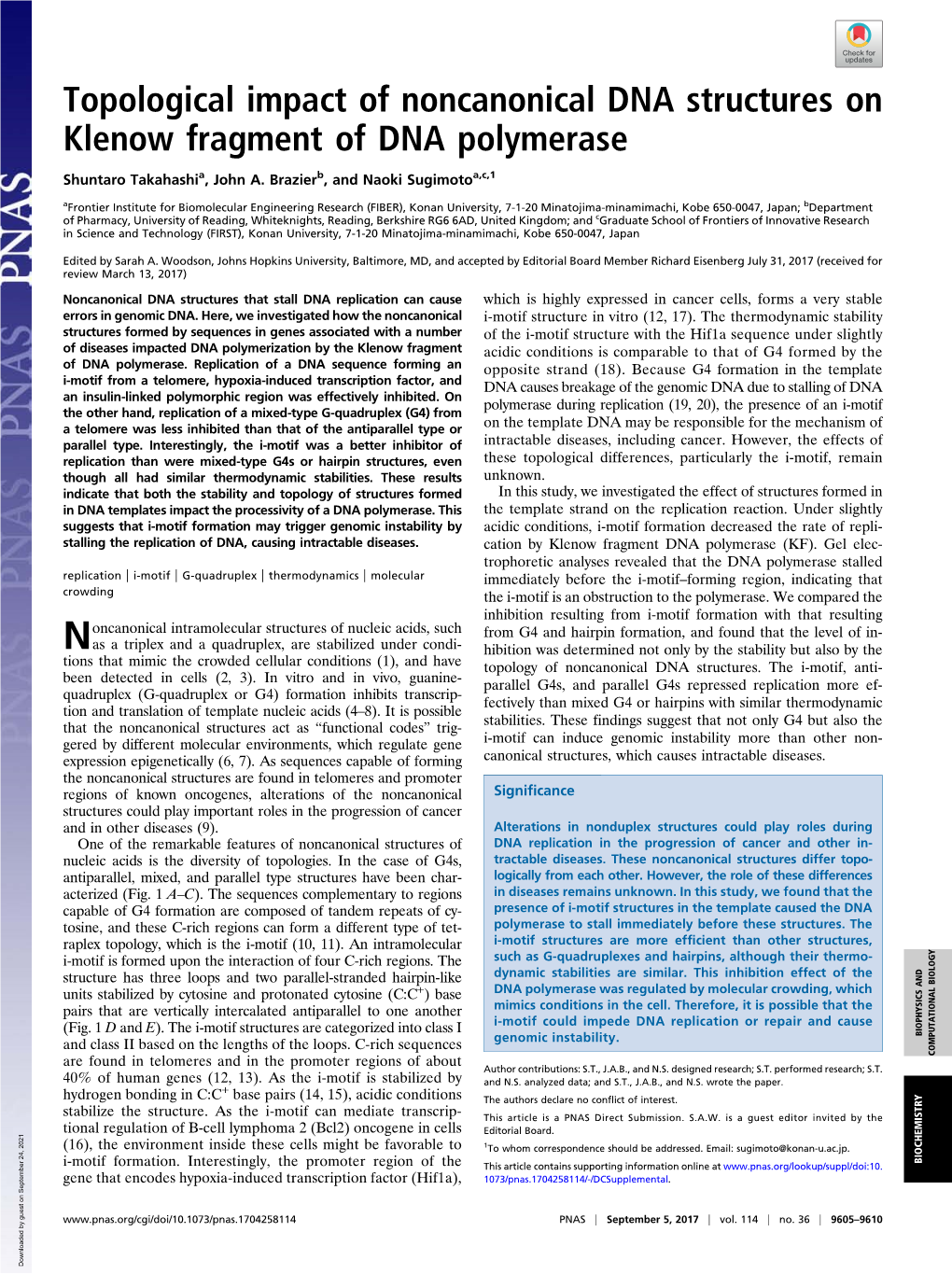 Topological Impact of Noncanonical DNA Structures on Klenow Fragment of DNA Polymerase