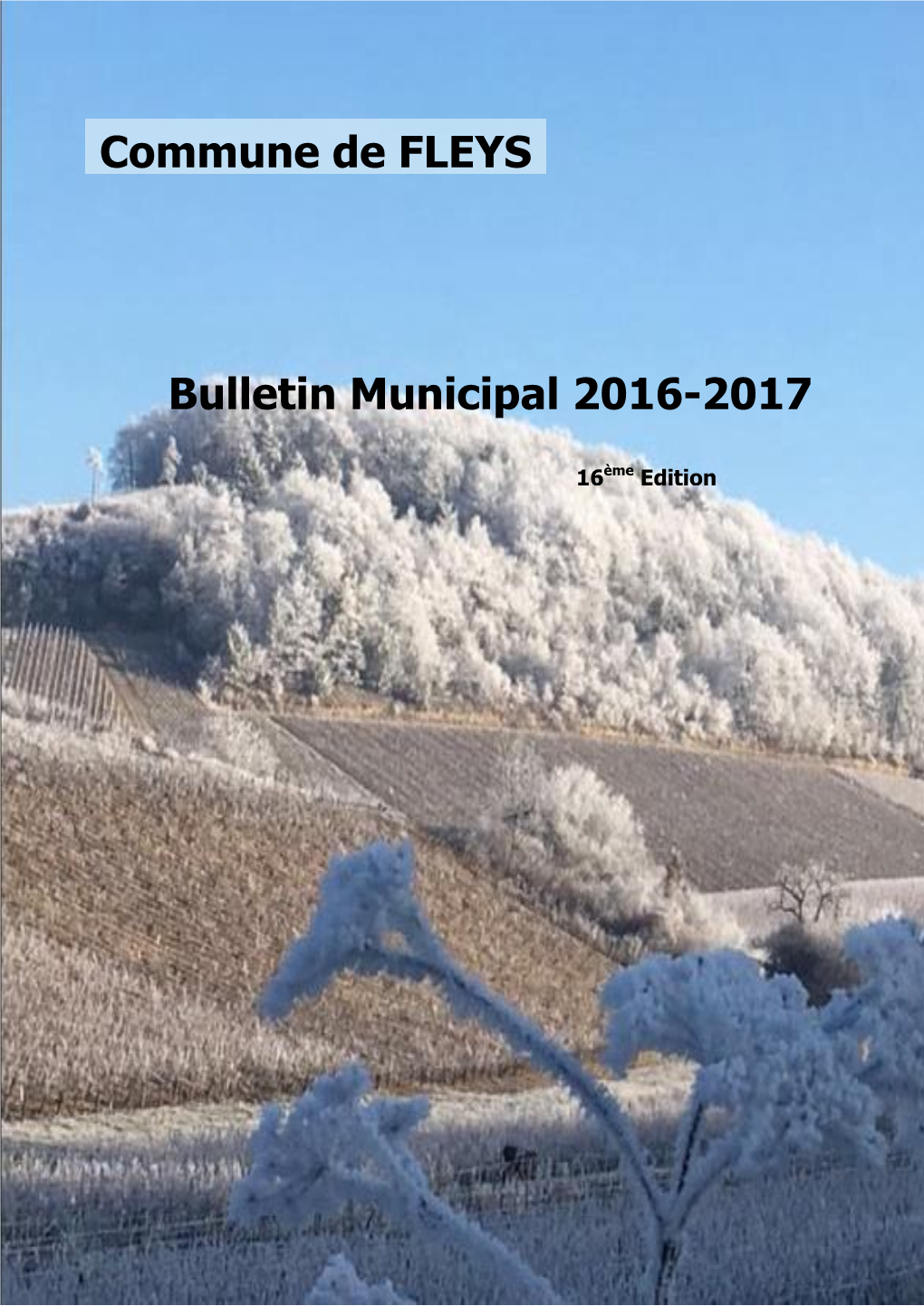 Bulletin Municipal 2016-2017 Commune De FLEYS