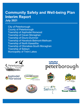 Community Safety and Well-Being Plan Interim Report July 2021