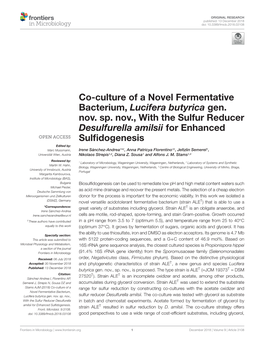 Co-Culture of a Novel Fermentative Bacterium, Lucifera Butyrica Gen